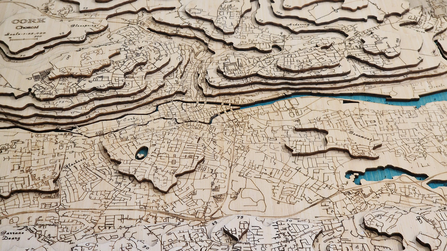 Cork City 3d map medium